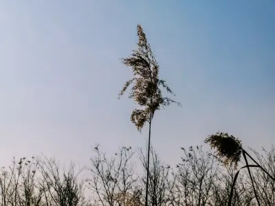 Μπιτ4γουιν Καζίνο Κινητη εφαρμογη
